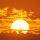 Illustration for article titled Last Month Was the Hottest September in Recorded History